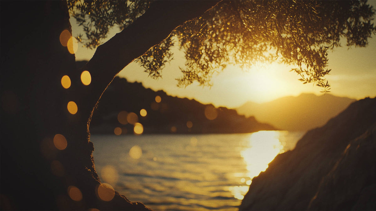 The awakening breeze of golden tides from far away.