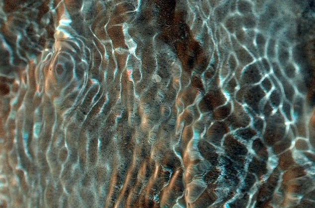 When sea notes meet citrusy freshness
