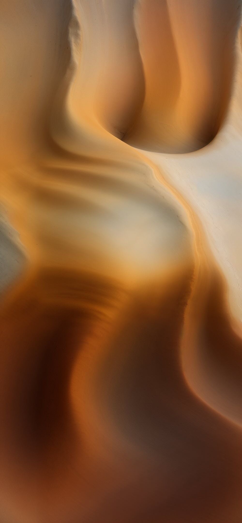 Almond and spicy notes, bridging gastronomy and perfumery