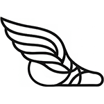 Icon Shipping